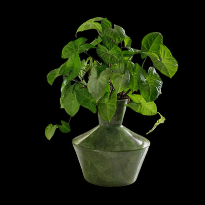 Green Shagreen Vase